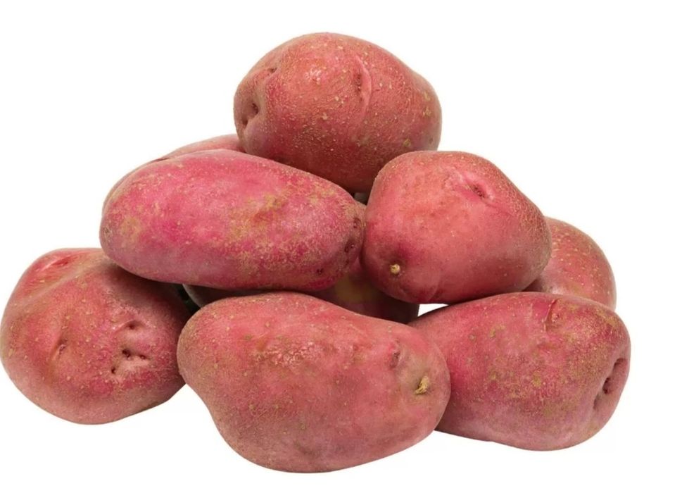 Семенной картофель