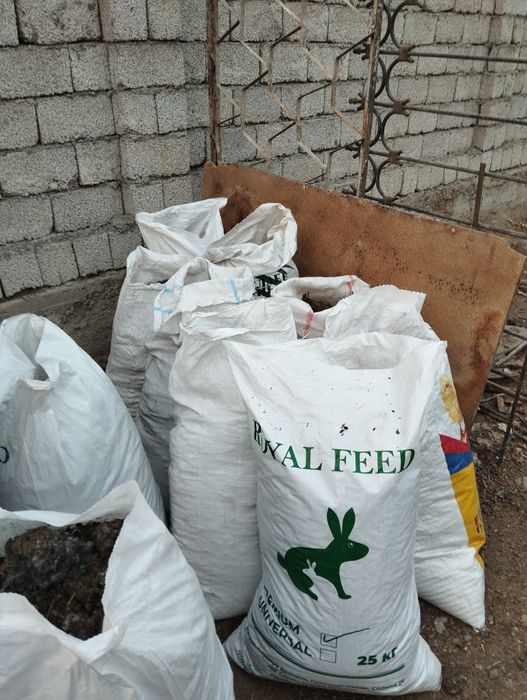 Сотилади куй гунги  1 коп нархи