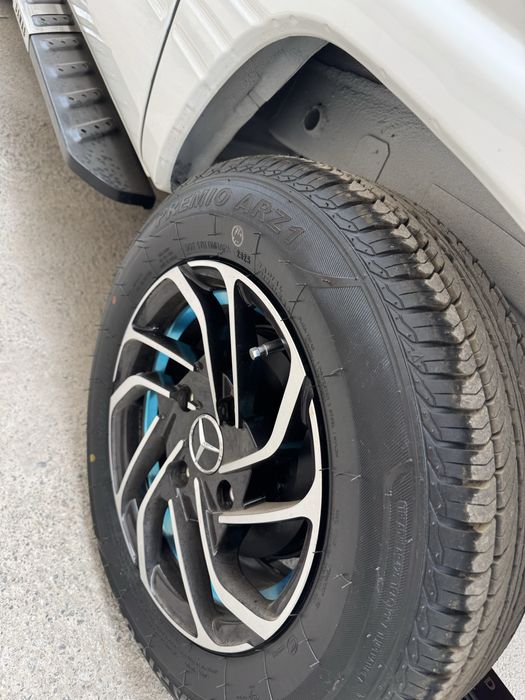 Damas 2025 yanggi polni navarot qilingan