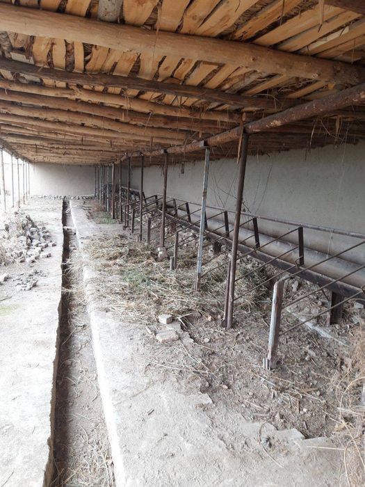 Hovli sotiladi 24 sotih uy tugallangan