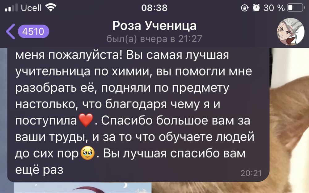 Онлайн занятия по Химии