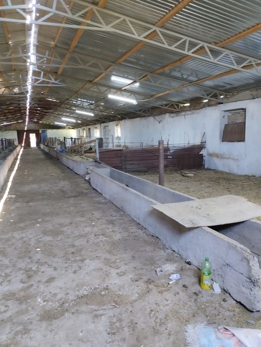 Жевотноводческая база