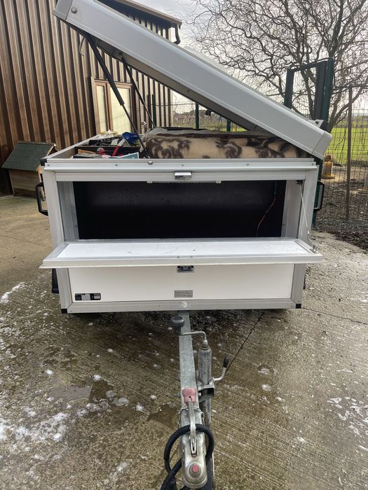 Remorca transport caini Wurz termico