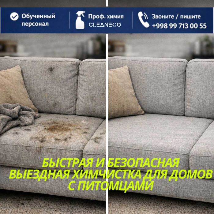 Проф. чистка для квартир с питомцами. Dog‘ va hidlarga qarshi tozalash