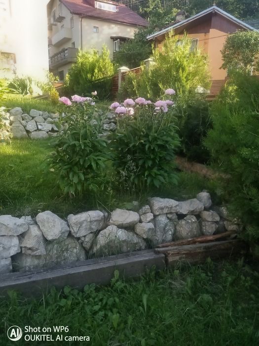 Casa de vânzare Sacele Brașov