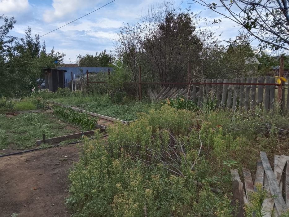 Продам дачу сад весна