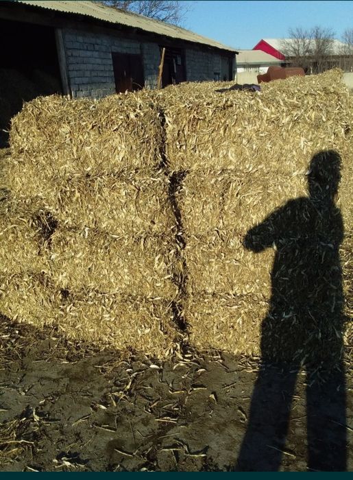 Mollar va quylar uchun loviya press