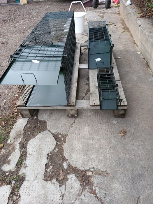 Cursă Capcană :dihor ,jder , șobolani,vulpi, vidră