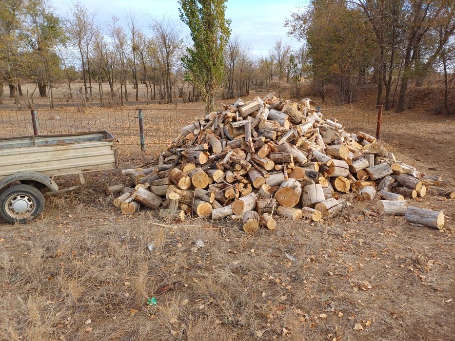 Продам Драва сухие