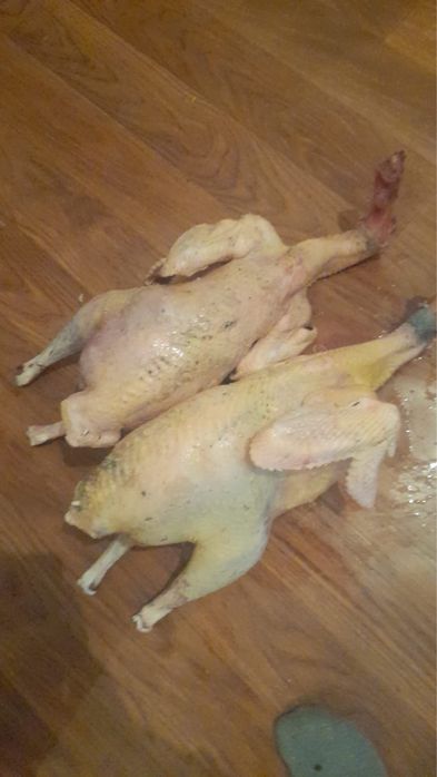 индюк мясо свежее