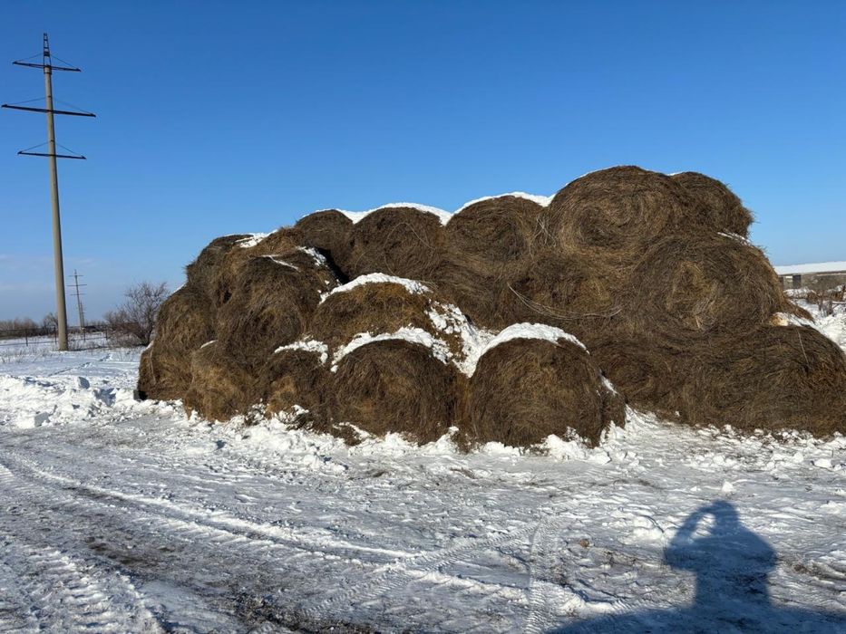 Продается рулон сено.