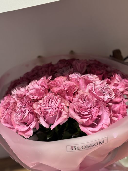 цветы пионовидные розы