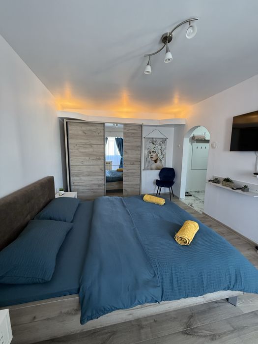 Garsonieră regim hotelier Central Romanescu Parc