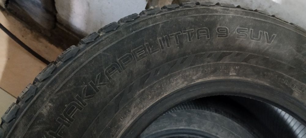 Бу ризина целые без порезов
