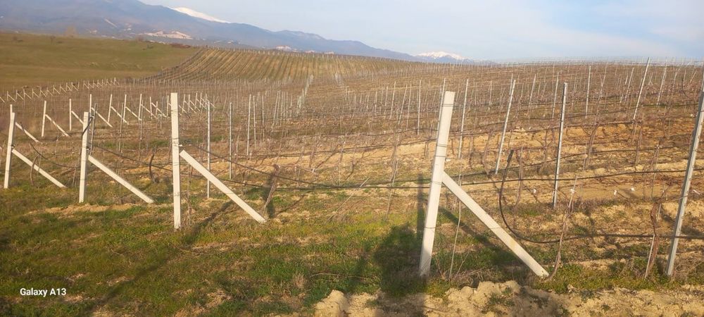 Продава се Земеделски имот в с. Левуново, Област Благоевград -  кв.м за 10200 €/дка - Снимка #2