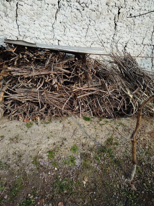 Oʻtin sotiladi oʻtin