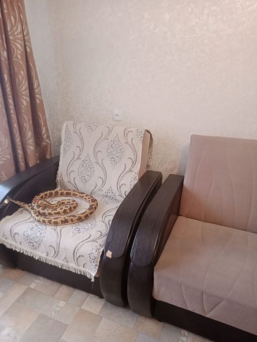 Диван с креслами