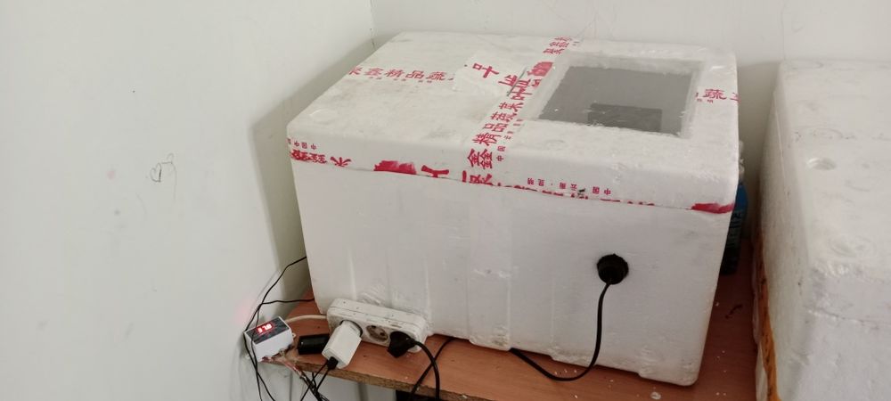 Инкубатор сатылады