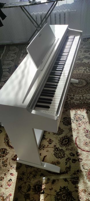 Цифровое пианино Casio Celviano АР-270