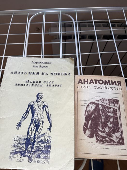 Анатомия учебници