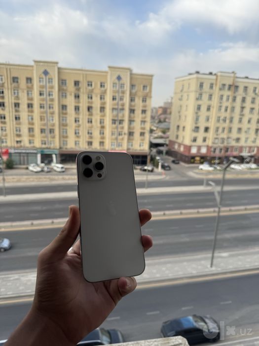 iPhone 12 pro max
