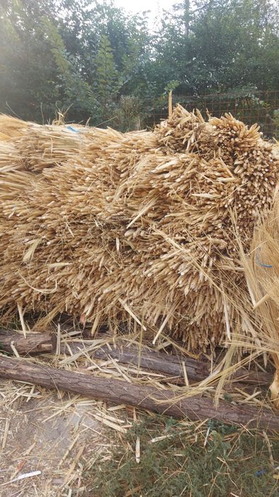 VAND material pt confectionat maturi