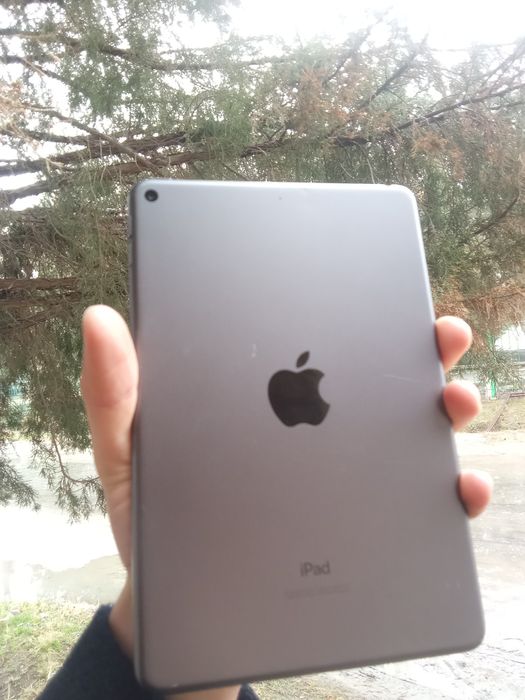 Ipad mini 5 ideal