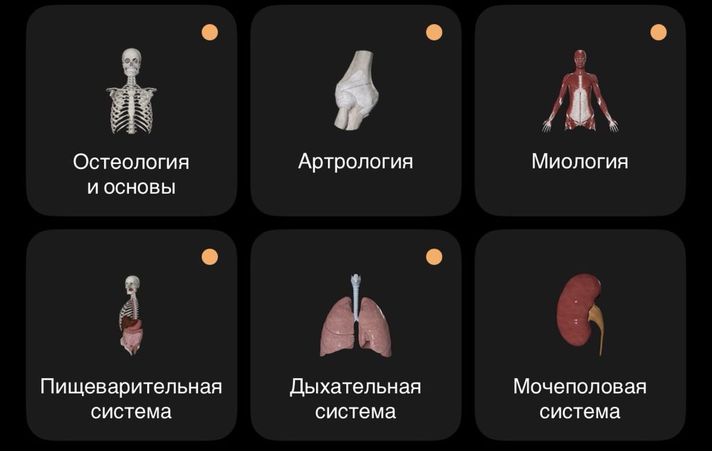 Конспекты по анатомии