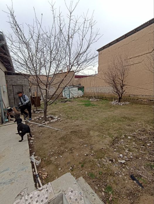 Продается дом на земле в Бектимирском районе