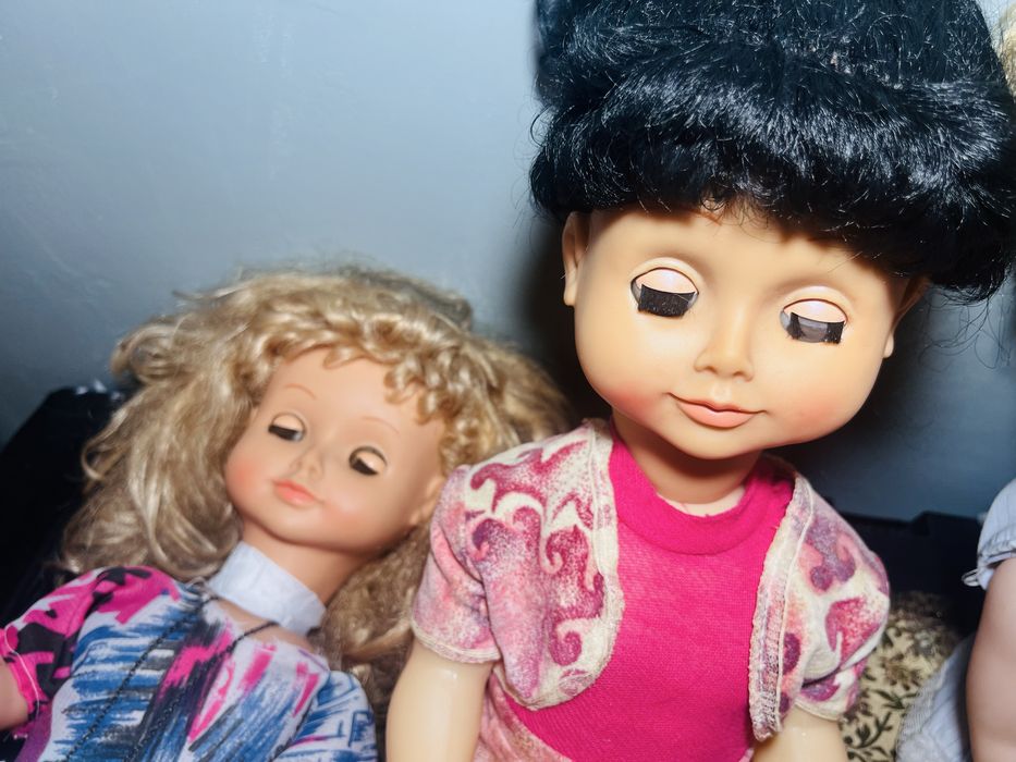 Lot Liliana Aradeanca