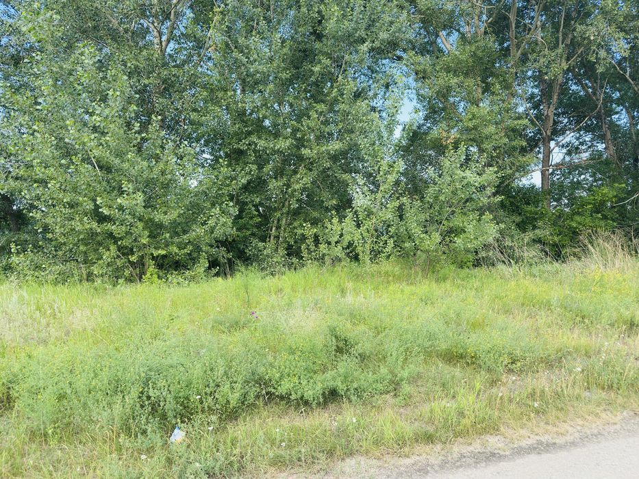 Продам дачу за понтонным мостом