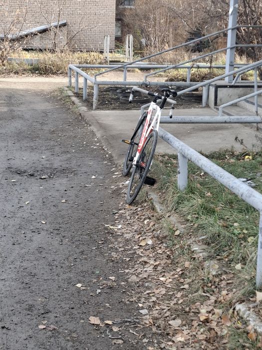 Фикс гир LOWII (сингла)