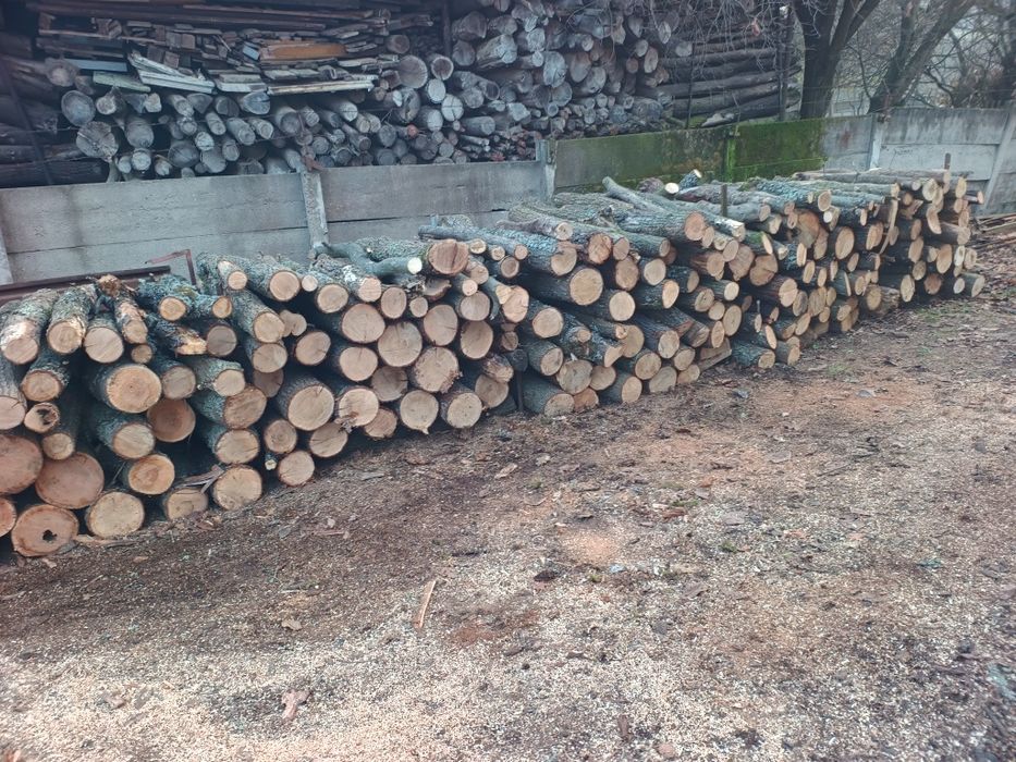 Lemn uscat de vânzare