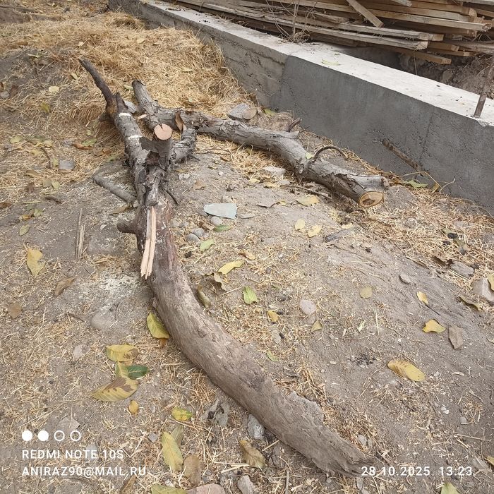 Дрова фруктовых деревьев