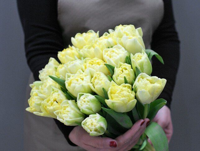 Тюльпаны экстра класса