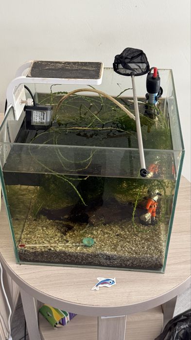 Аквариум для мелких рыб