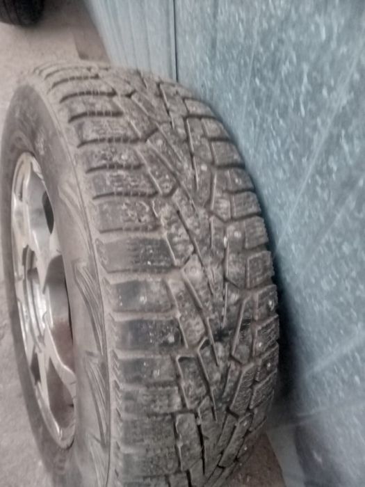 Шины с дискоми бу