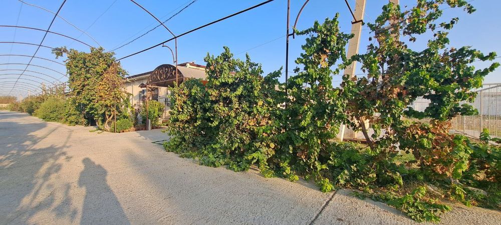 Навбахор Калконда 2 сутихлик Коттедж