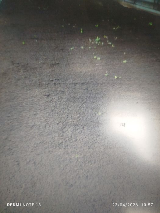 Биогомус сифатига жавоб берамиз