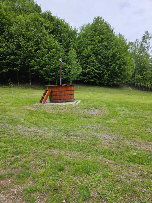 Inchiriere cabana Casa din Deal -Valea Finisului KM 7