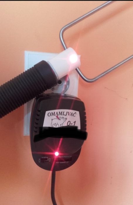 Asomator porci purcei