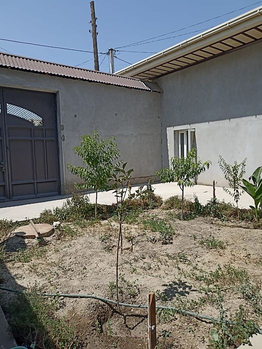 Сдаётся дом/ Ижарага ховли берилади