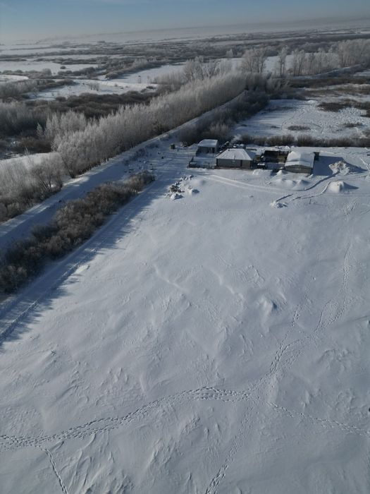 Рядом лес хорошая развитая територия