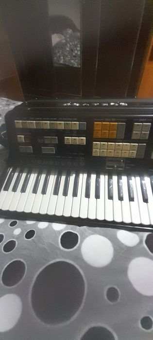 Acordeon de " colectie" midii  din fabricație