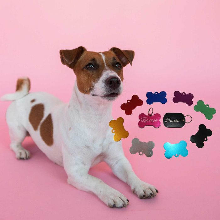 Медальон за кучета