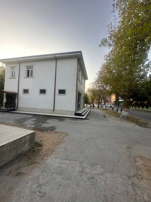 Ойбекда нотурар жой сотилади. Пап кафе енида