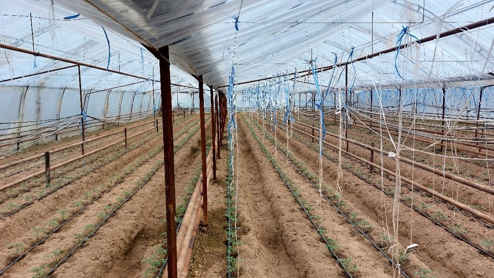 Ер сотилади 8сотох