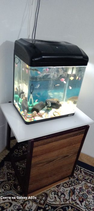 Заводской акварюм 50 тысяч