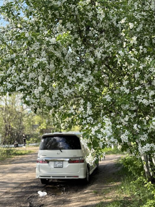 Продам Honda Stepwgn spada Минивэн чистый учет
