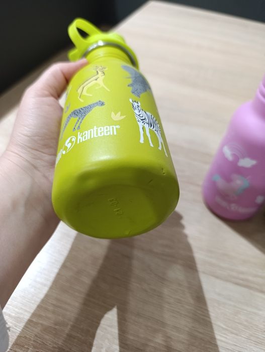 Klean Kanteen Sticle apa